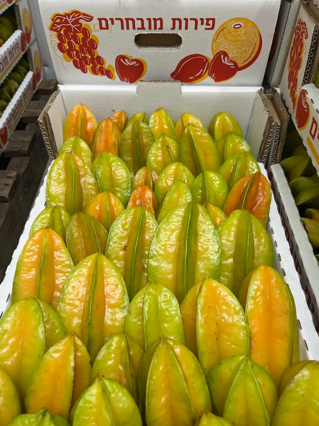 פרי