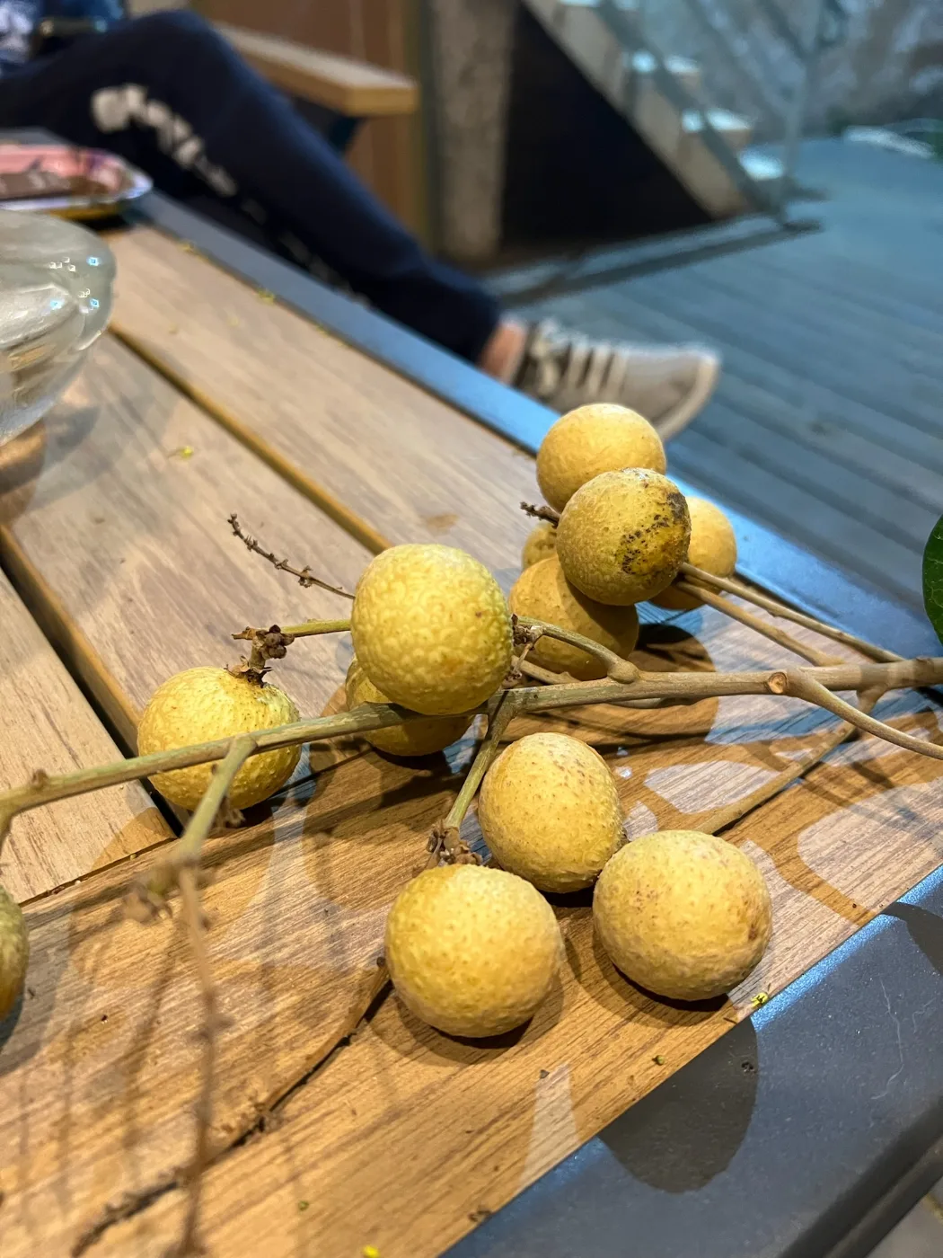 לונגן
